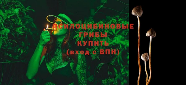 прущий лед Балахна