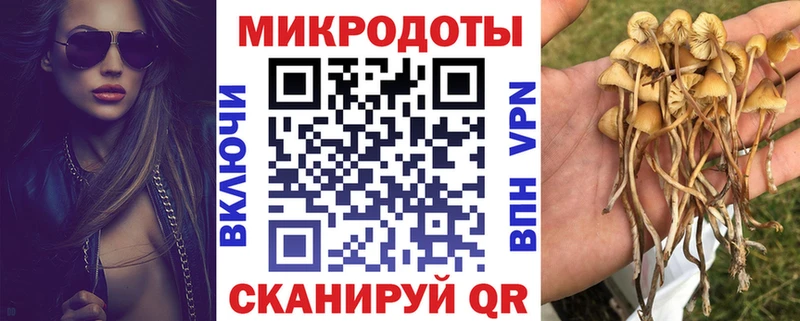 гидра маркетплейс Нижнеудинск Галлюциногенные грибы мицелий
